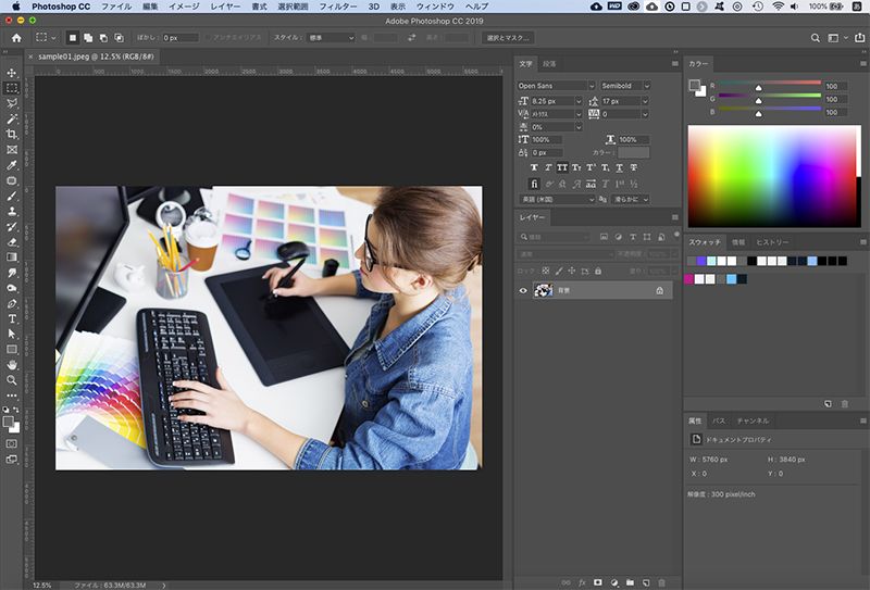 ファイルを開いたPhotoshopの画面
